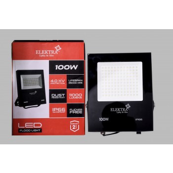 LED Flood Light