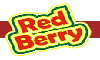 REDBERRY PLANTATION PRODUCTS SERVICES PVT LTD