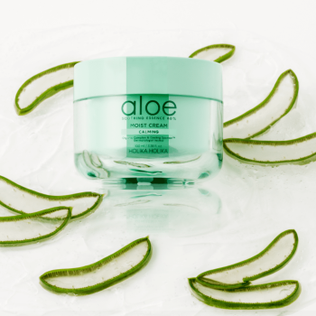 Holika Holika Aloe Soothing Essence 80% Moist Cream 100 ml